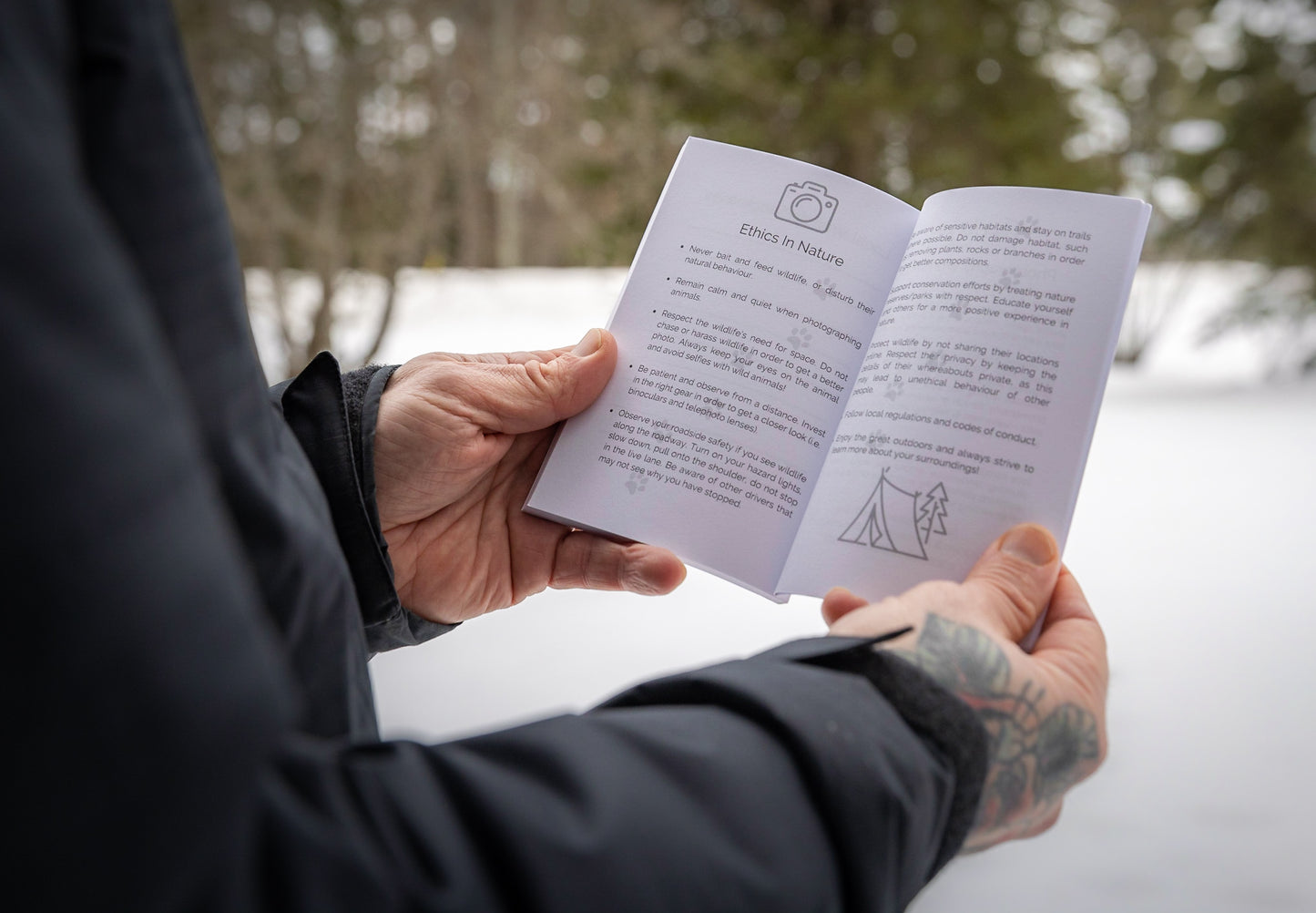 Wildlife Journal and Field Notes