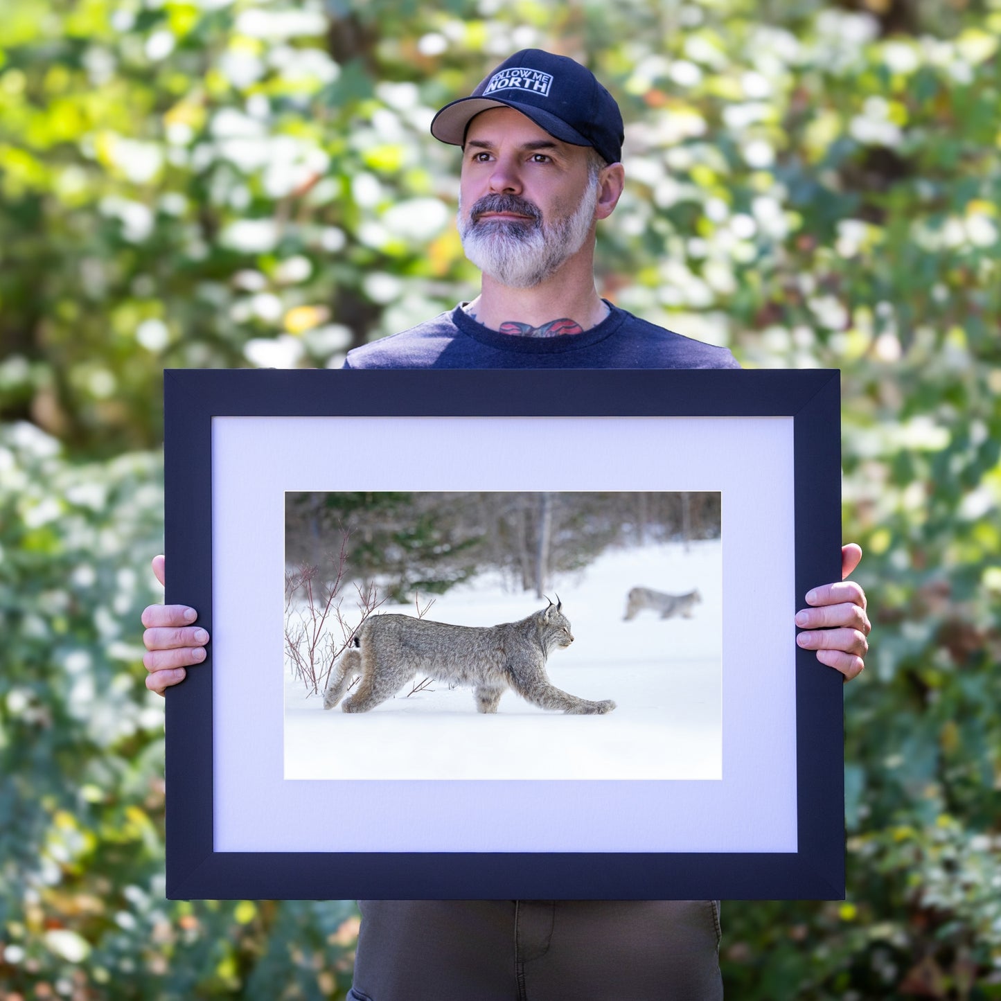 Winter's Silent Predator