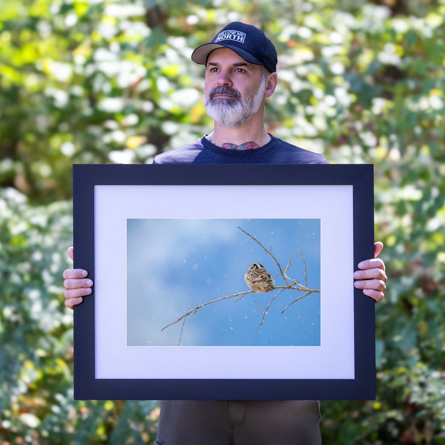 Winter's Watchful Eye