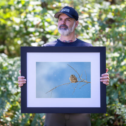 Winter's Watchful Eye