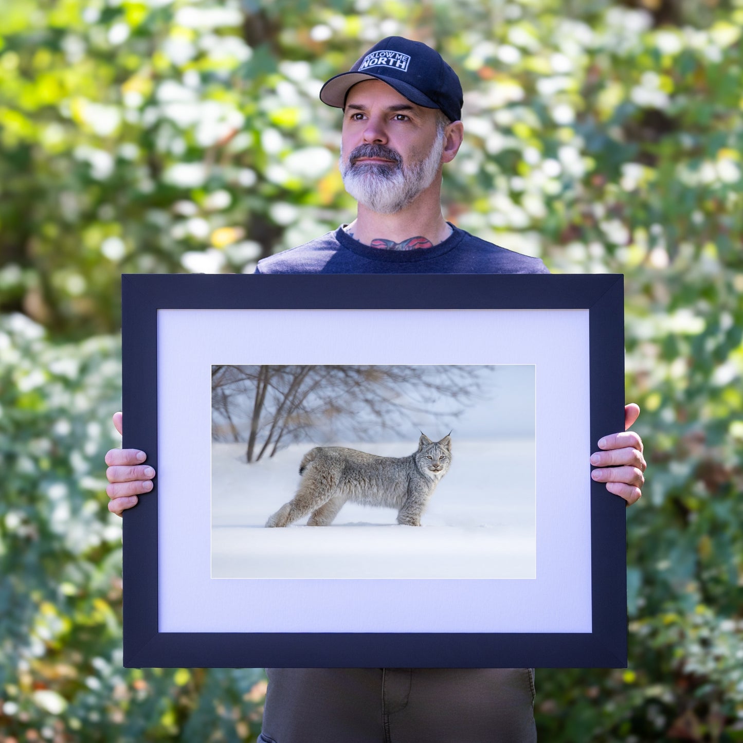 Shadow of the Forest