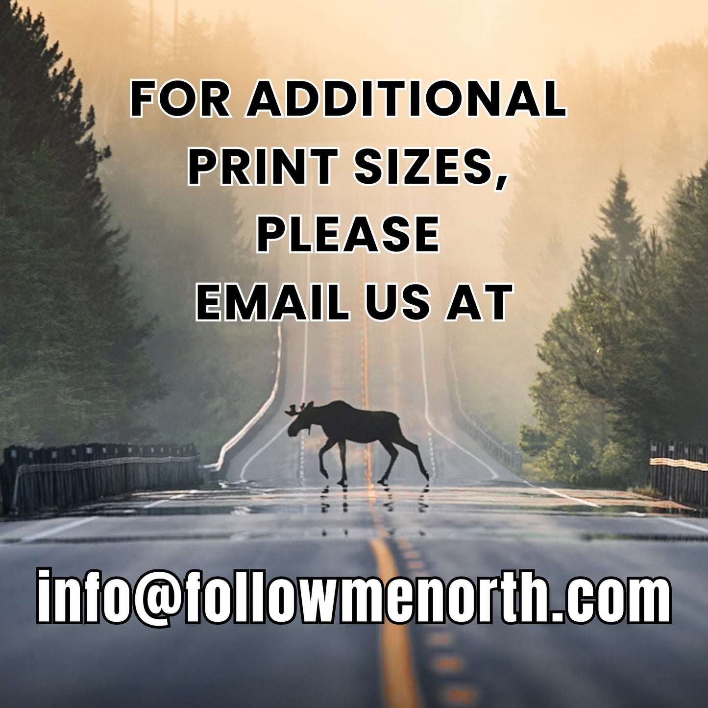 Christmas In Canoe Country