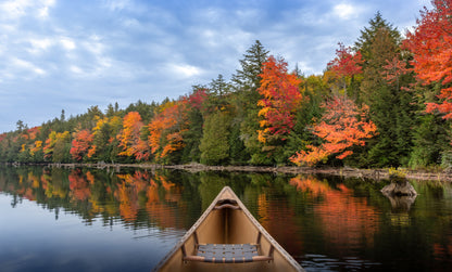 Algonquin's Auburn Afternoon