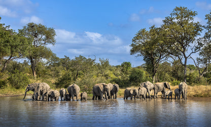 Giants at Play