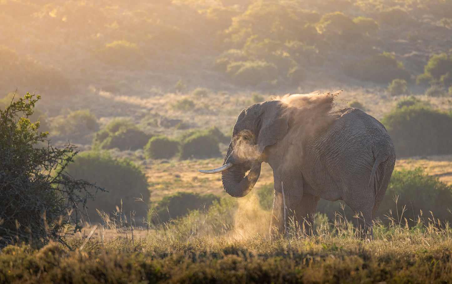 Morning Mud Bath