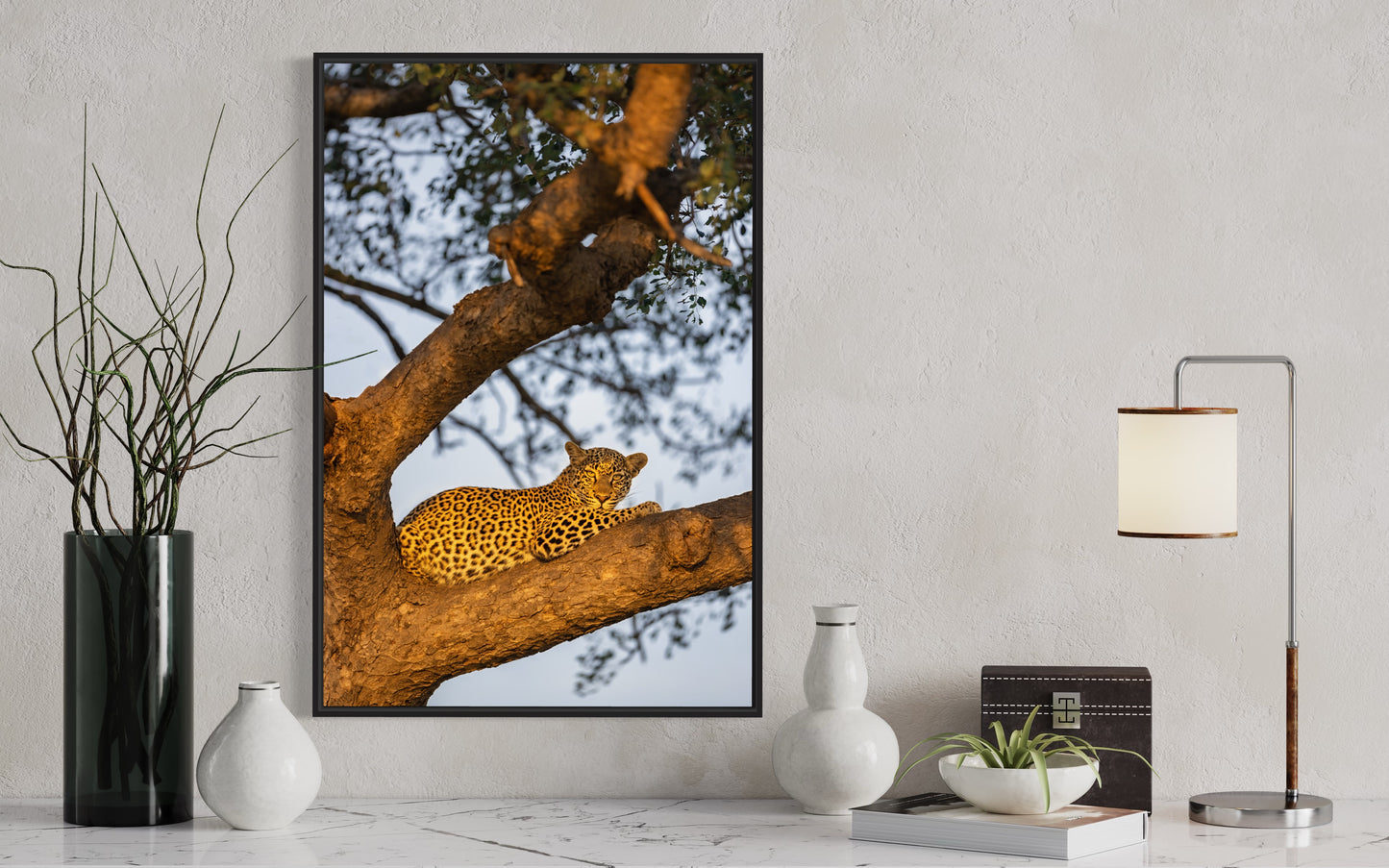 Tree-Top Tranquility