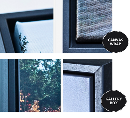 Tree-Top Tranquility