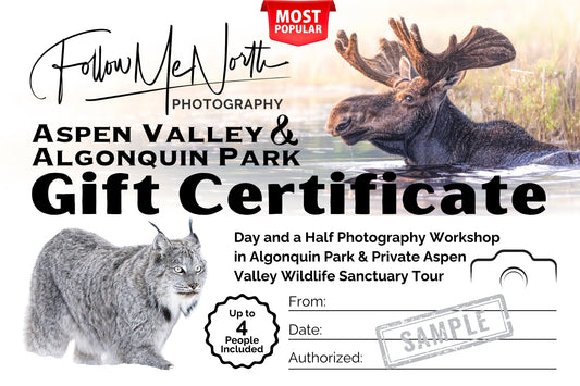 Day and a Half Photography Workshop in Algonquin Park & Private Aspen Valley Wildlife Sanctuary Tour