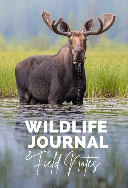 Wildlife Journal and Field Notes