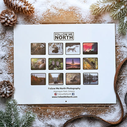 2026 Algonquin Park Calendar