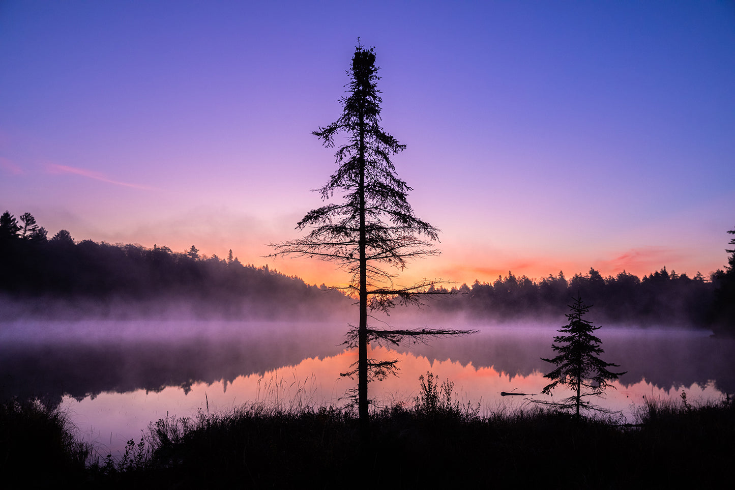 Cotton Candy Sunrise