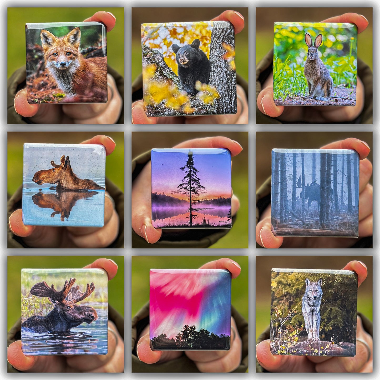 Algonquin Park Magnets - Set 4