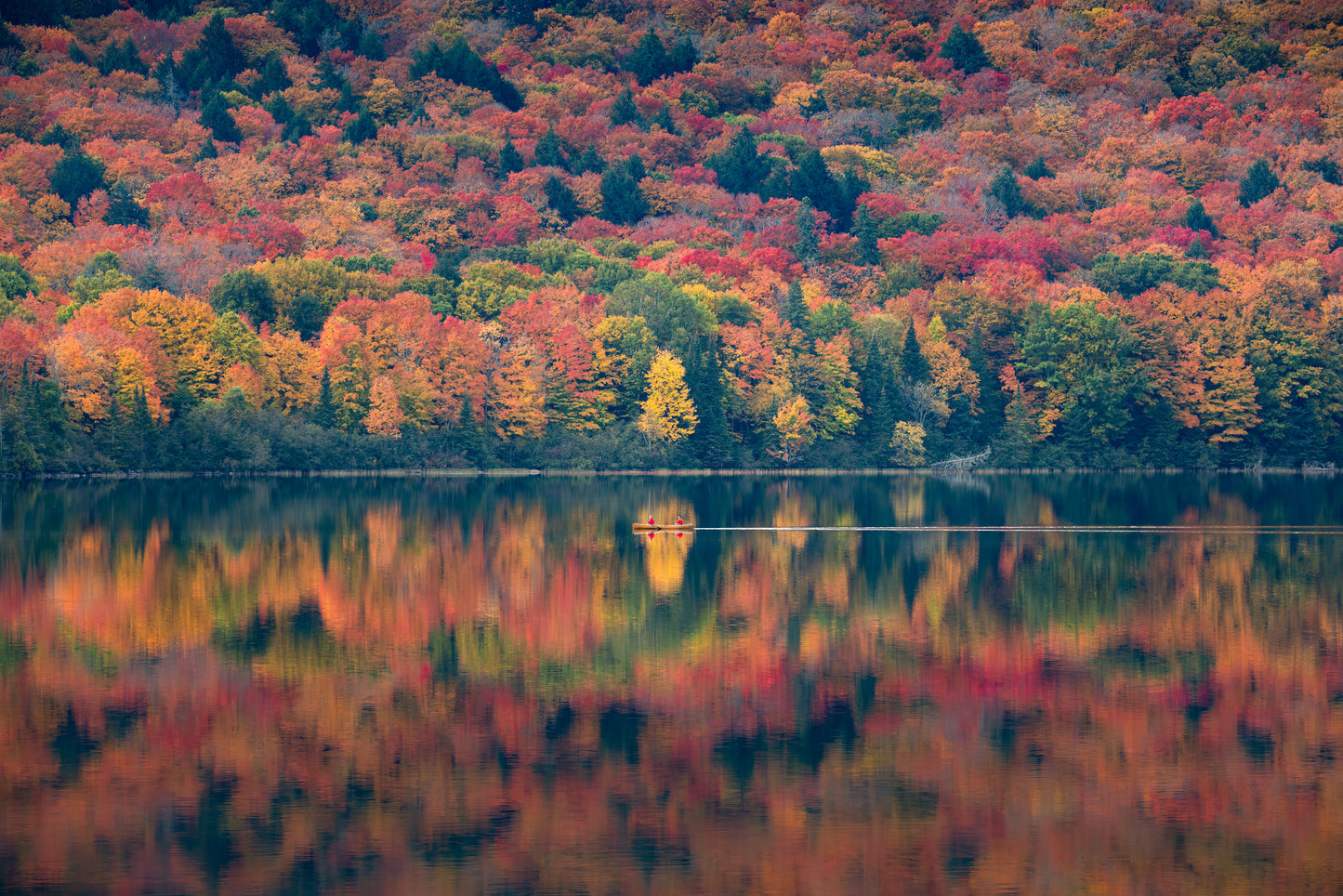 Paddling Autumn's Tapestry